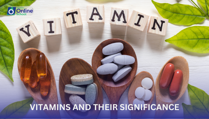 Lesson 06: Vitamins and Their Significance